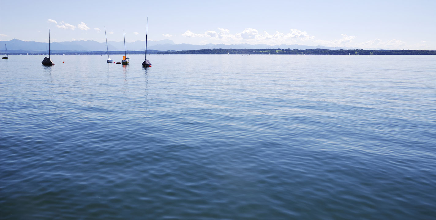 Blueberry_Starnberg_Kompetenzen